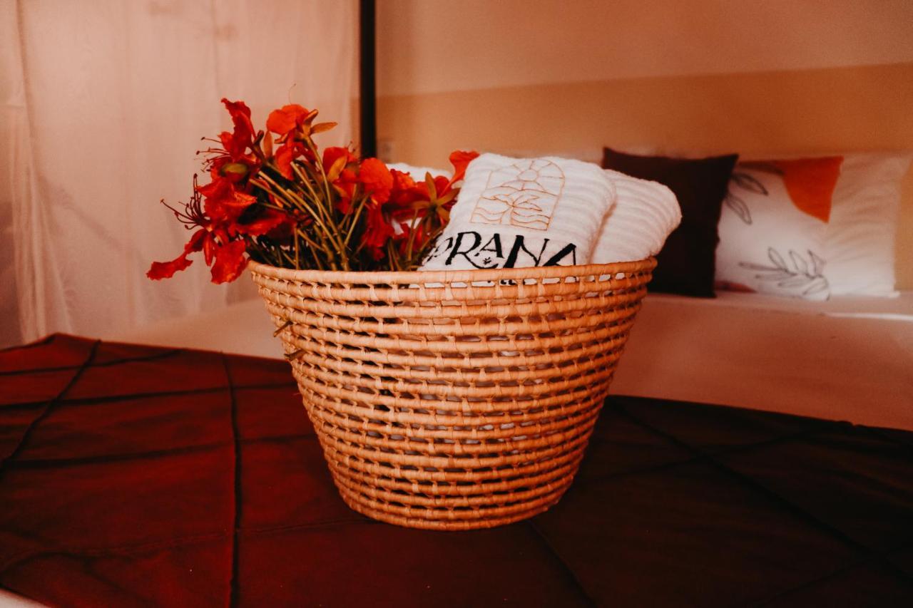 Prana Eco Villa Atins Buitenkant foto